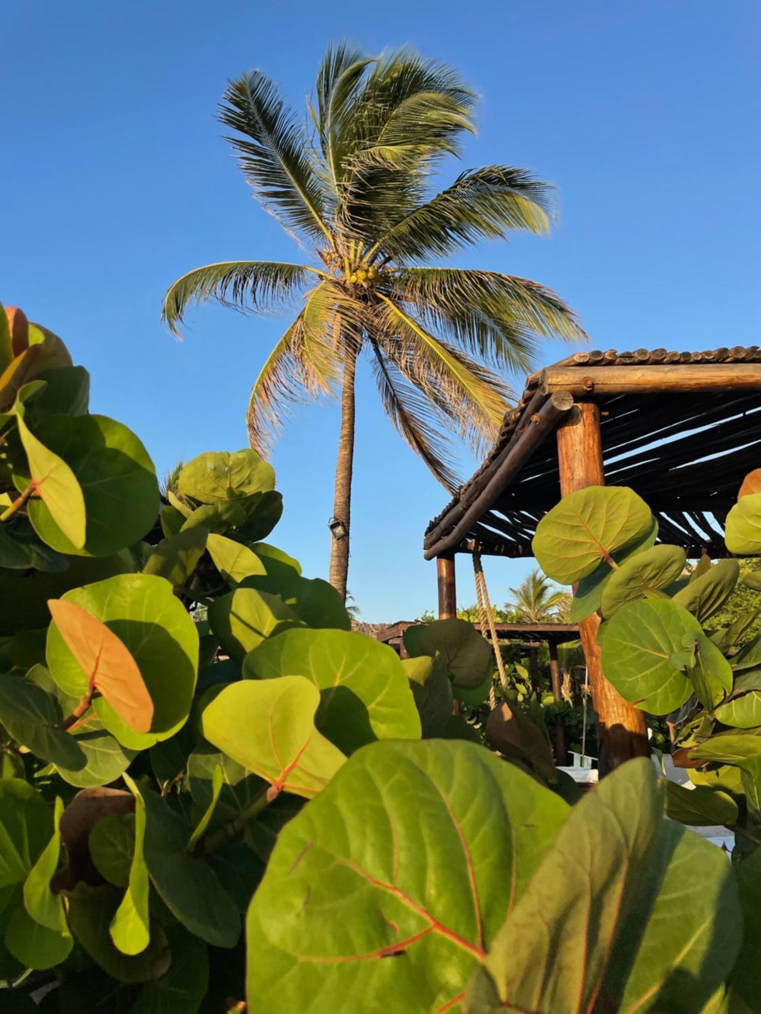 Namaste Beach Club & Hotel Playa de Punta Arena Exteriér fotografie